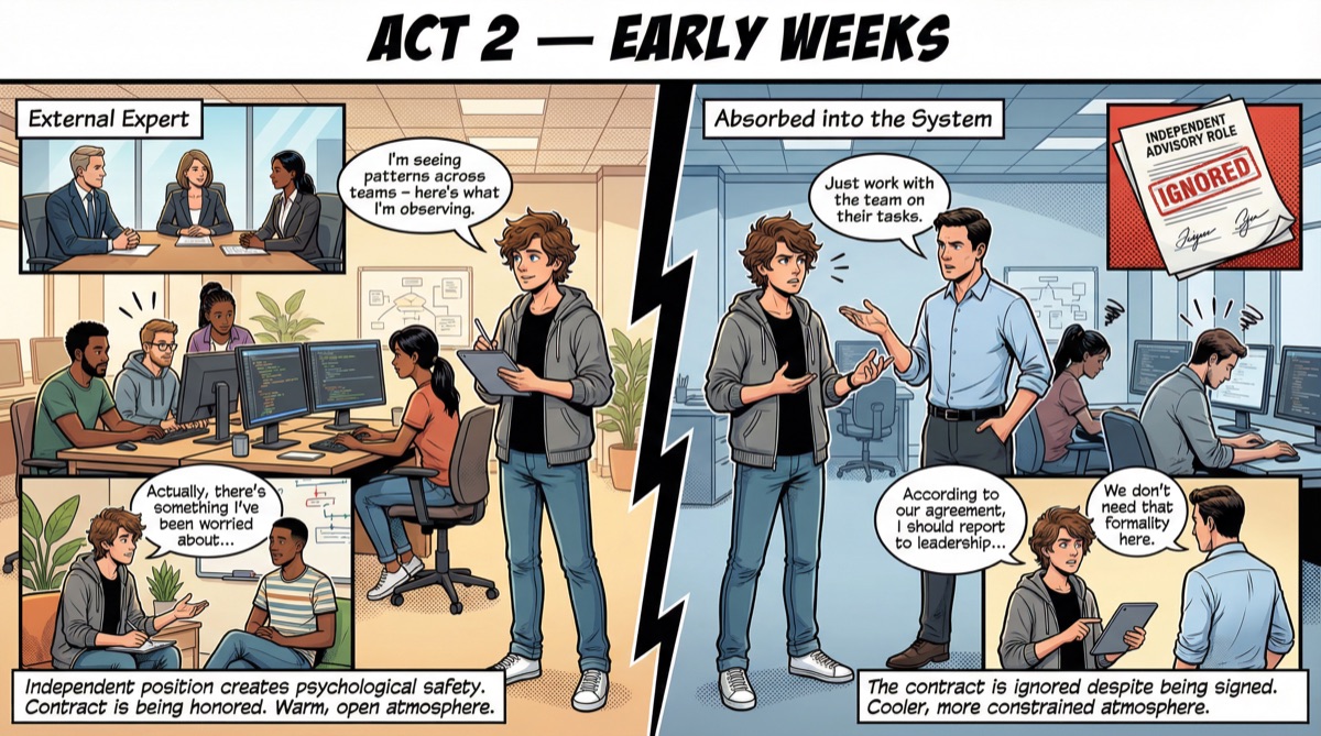 Acto 2: Primeras Semanas — Surgen los patrones de trabajo diario